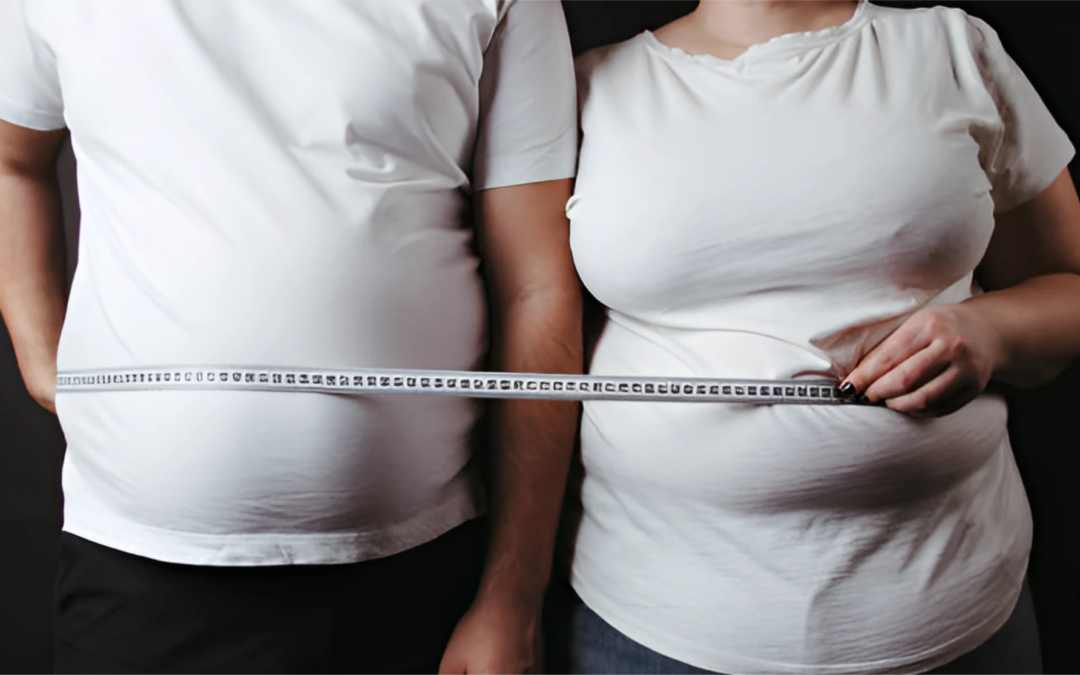 Carnivore Diet: The Ultimate Solution to Losing Dangerous Belly Fat and Improving Your Health